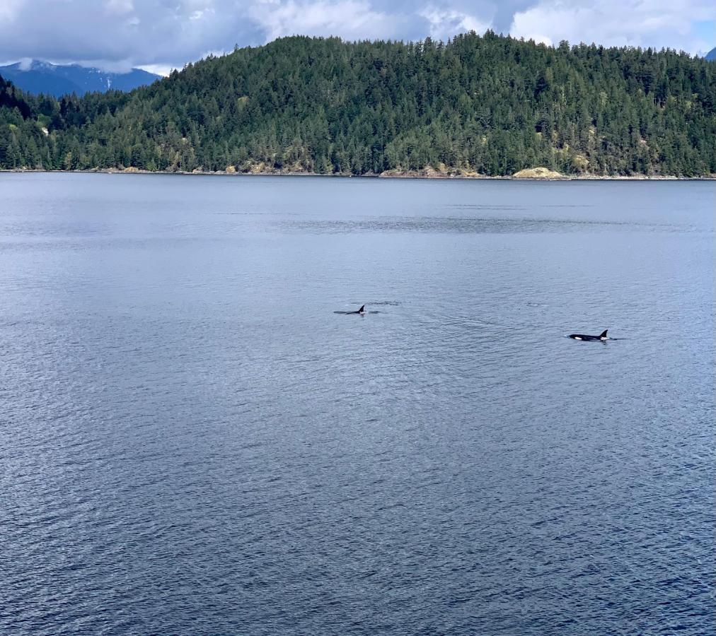 에그몽 Earls Cove Orca View B&B 외부 사진